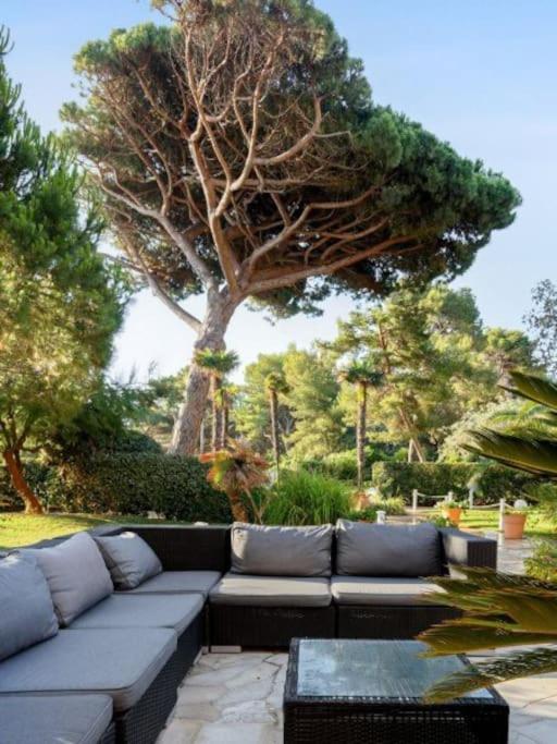 Superbe Appartement 50M De La Plage En Bord De Mer イエール エクステリア 写真